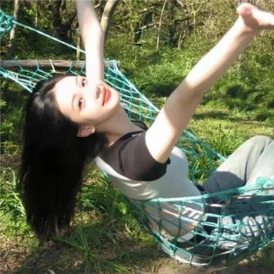 爱尔兰的弗兰克